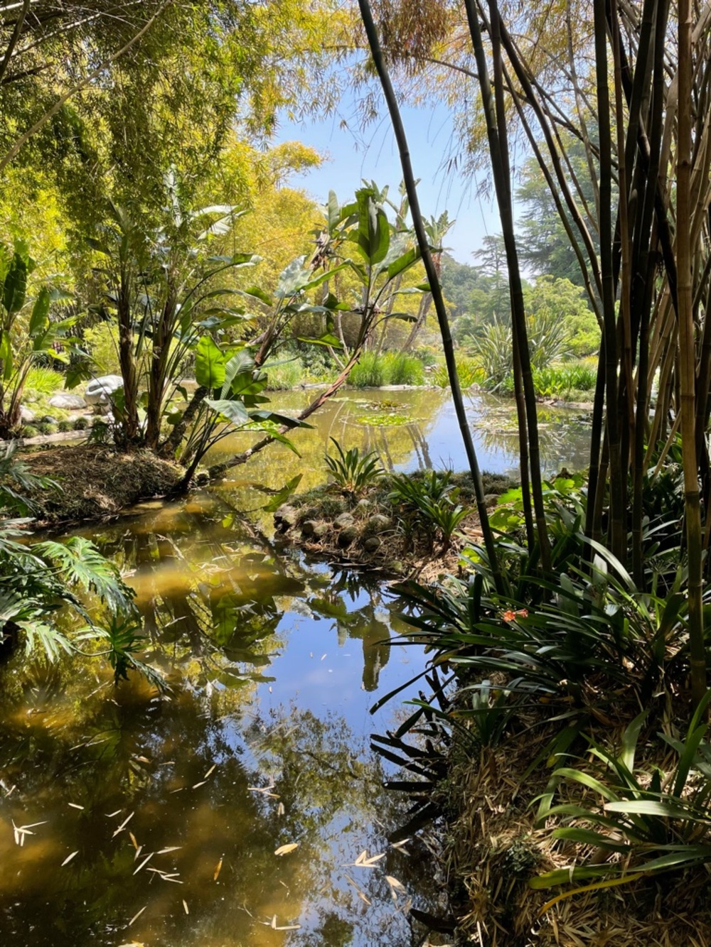 Meet your Posher, Rosa